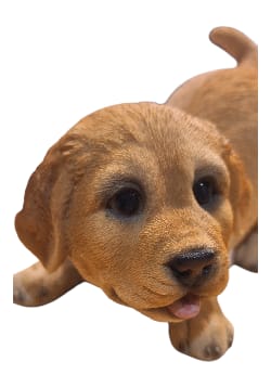 Text