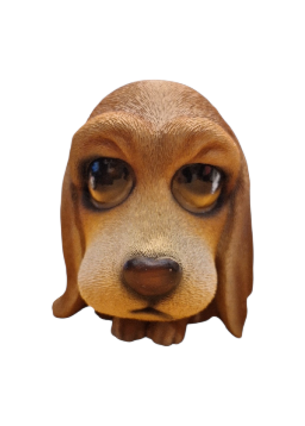 Basset Hound (Tazı) Köpek Biblosu 