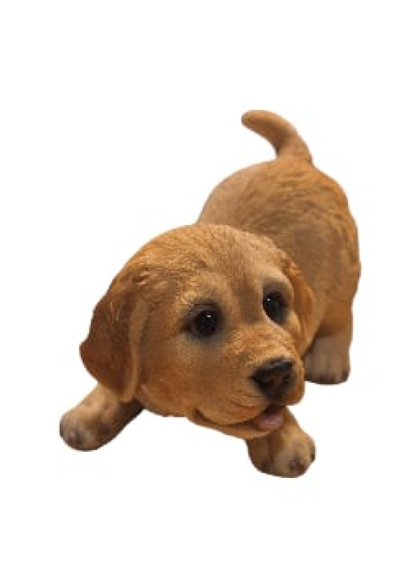 Sarı Golden Retriver Yavru Köpek Biblosu