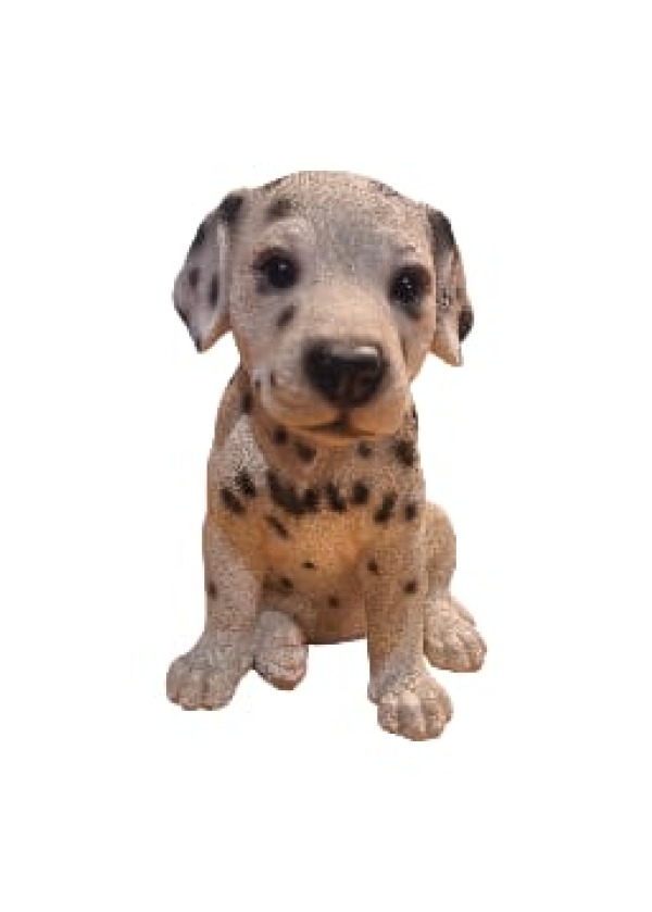 Dalmaçyalı Yavru Köpek Biblosu